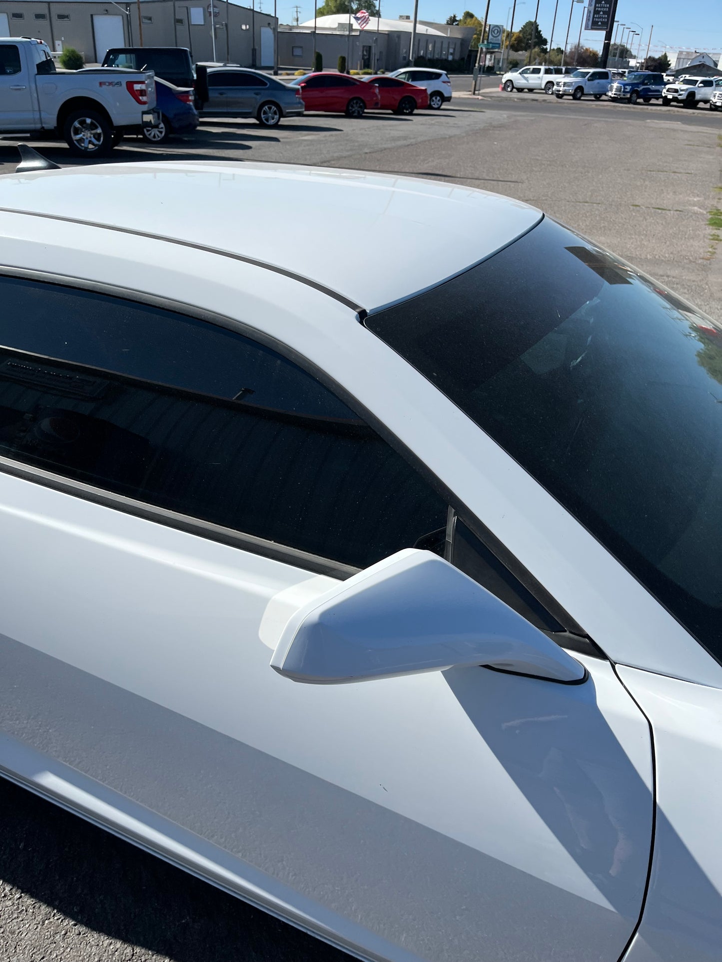 D & P Door Windows Tinted